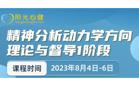 阳光心健|8.4-6李鼎智老师《精神分析动力学方向理论与督导一阶段》