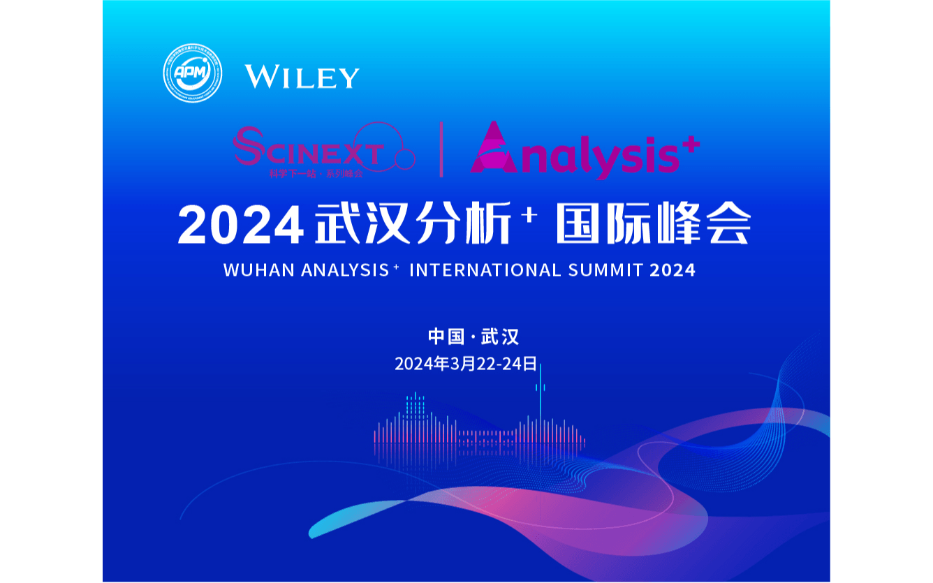 2024武汉分析+国际峰会