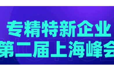 长三角专精特新企业·2024年上海峰会