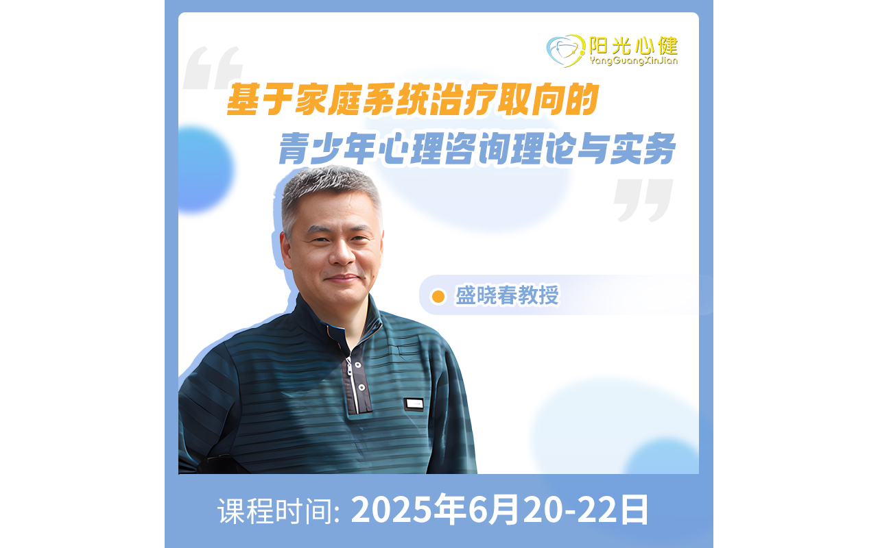 盛晓春教授《基于家庭系统治疗取向的青少年心理咨询理论与实务》