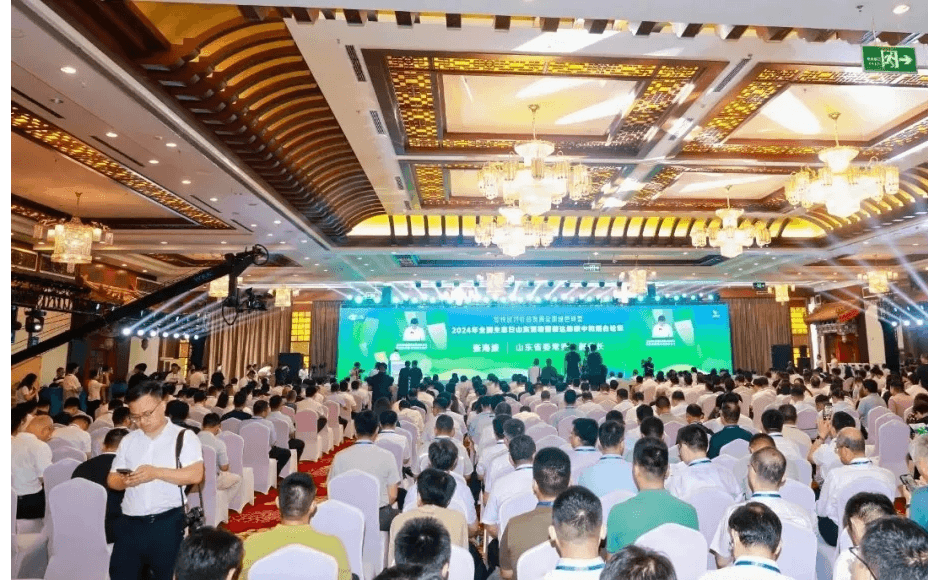 2025绿色低碳高质量发展大会