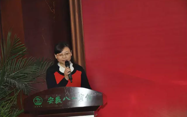 2015企业转型升级之路高峰论坛现场图片