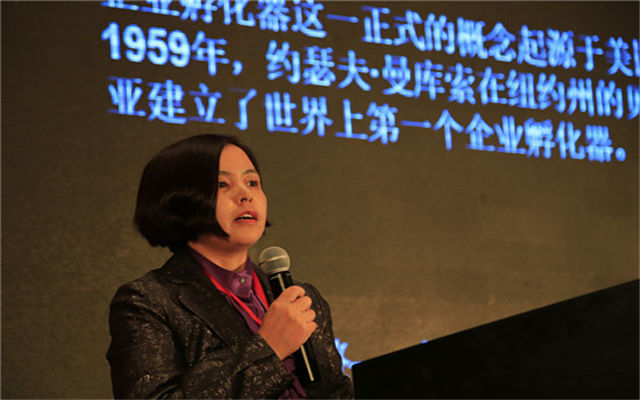 2015中国房地产创新模式大会江西峰会现场图片