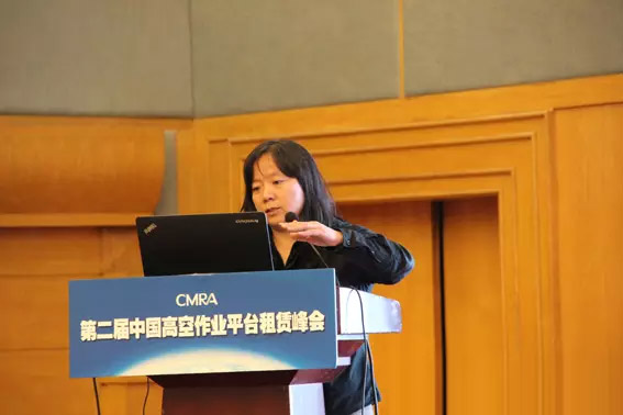 第二届中国高空作业平台租赁峰会现场图片