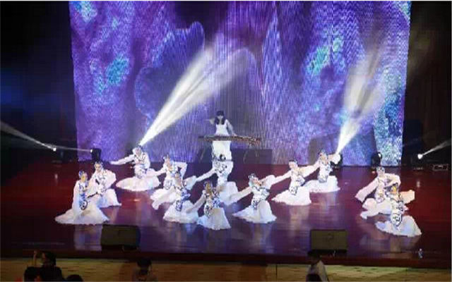 2015第一届海棠湾国际护理管理论坛现场图片
