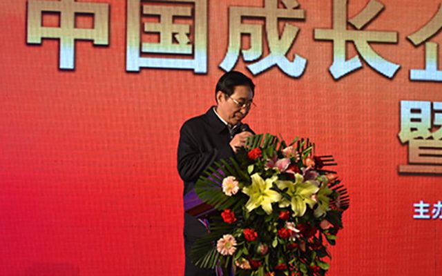 中国成长企业5020工程年度大会(2015年)现场图片