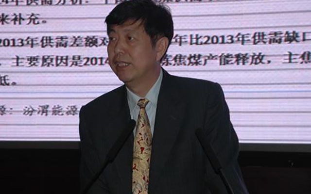 2015年(第五届)国际炼焦煤资源与市场高峰论坛现场图片