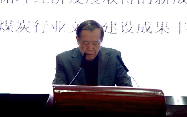 2015年(第五届)国际炼焦煤资源与市场高峰论坛现场图片