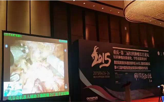 2015年第二届妇科肿瘤学长江论坛现场图片