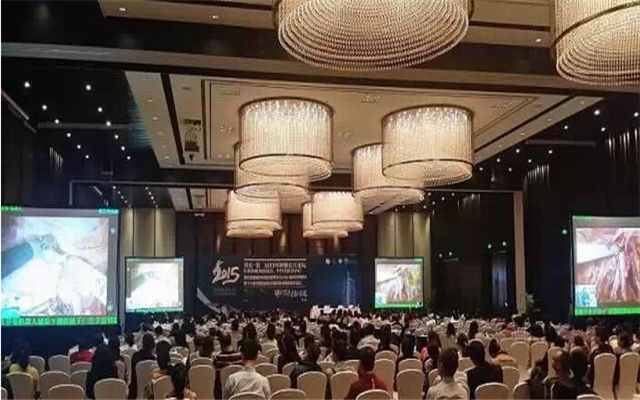 2015年第二届妇科肿瘤学长江论坛现场图片