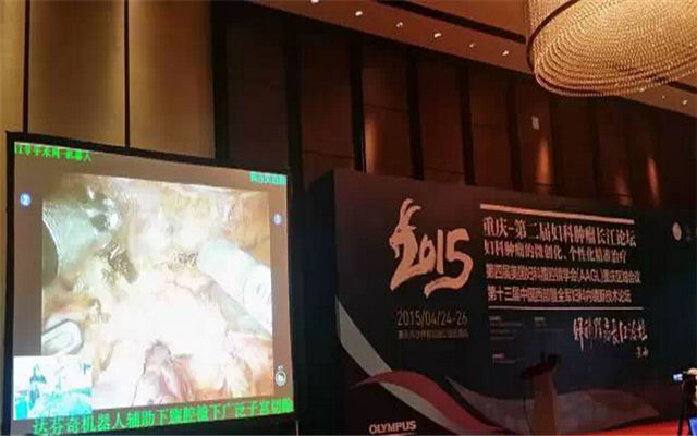 2015年第二届妇科肿瘤学长江论坛现场图片
