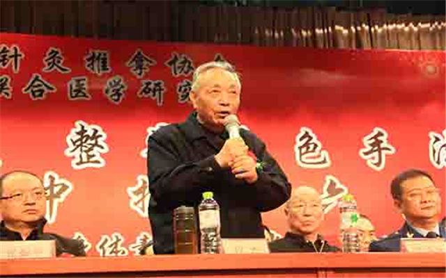 全国推拿、正骨、整脊特色手法医案剖析2015交流会暨中推第六届年会现场图片