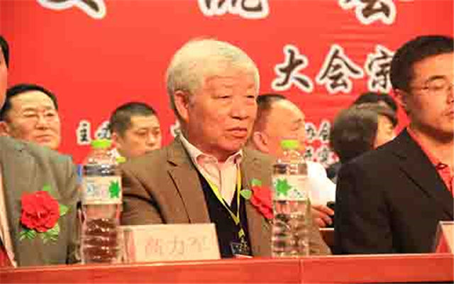全国推拿、正骨、整脊特色手法医案剖析2015交流会暨中推第六届年会现场图片