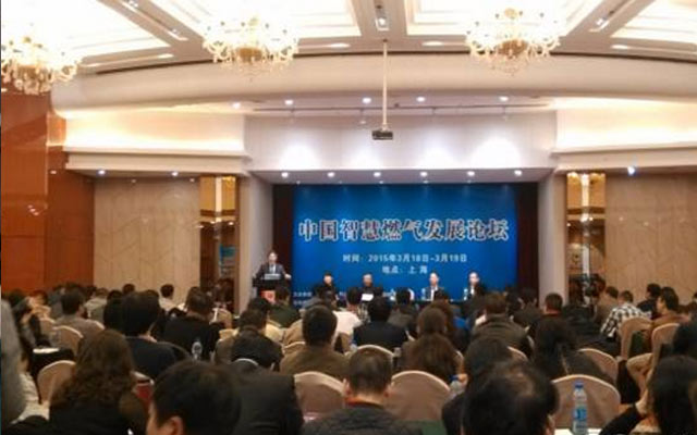 2015中国智慧燃气发展论坛现场图片