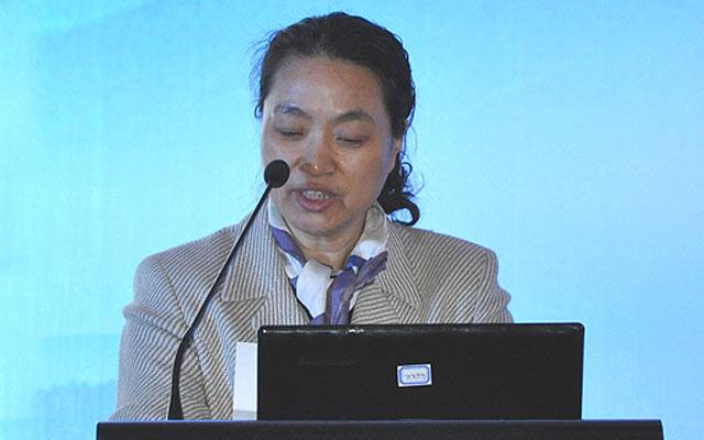 2015冶金矿产品国际会议现场图片