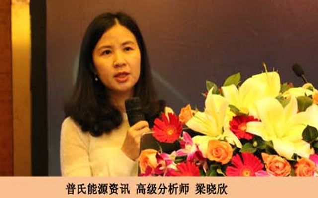 2015第九届中国燃气市场高峰论坛现场图片