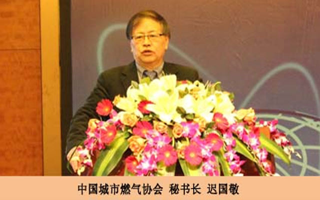 2015第九届中国燃气市场高峰论坛现场图片