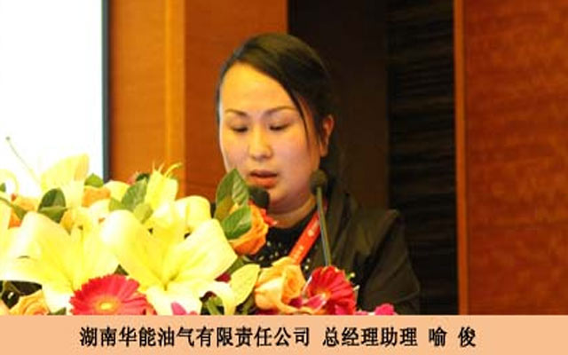 2015第九届中国燃气市场高峰论坛现场图片