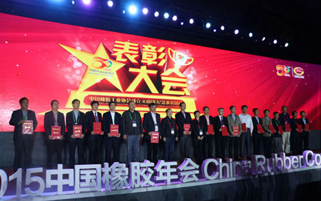 2015中国橡胶年会现场图片