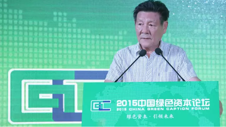 2015中国绿色资本论坛现场图片