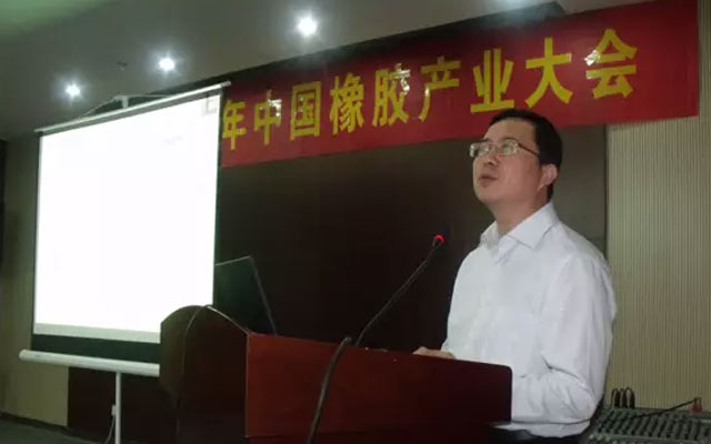 2015年中国橡胶产业大会现场图片