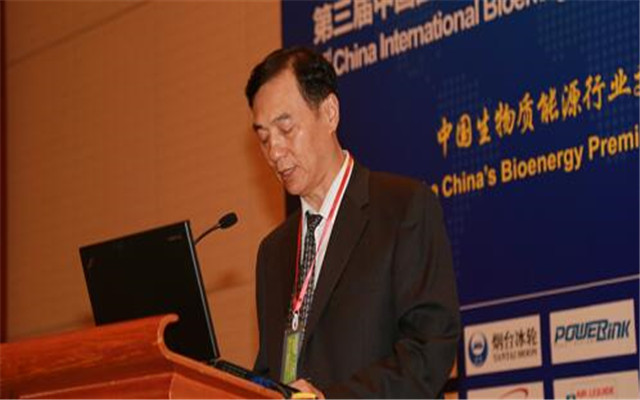 2015中国国际生物质能源与生物质利用高峰论坛(BBS 2015)现场图片