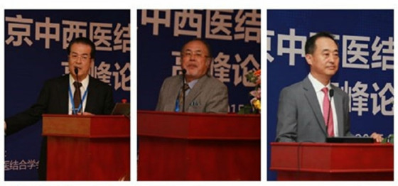 第一届北京中西医结合国际脊柱微创高峰论坛现场图片