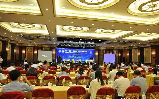 2015中国-东盟电力合作与发展论坛现场图片