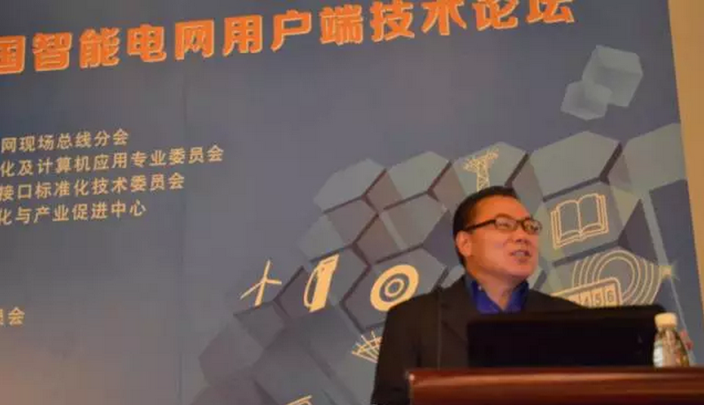 2015 中国智能电网用户端技术论坛现场图片
