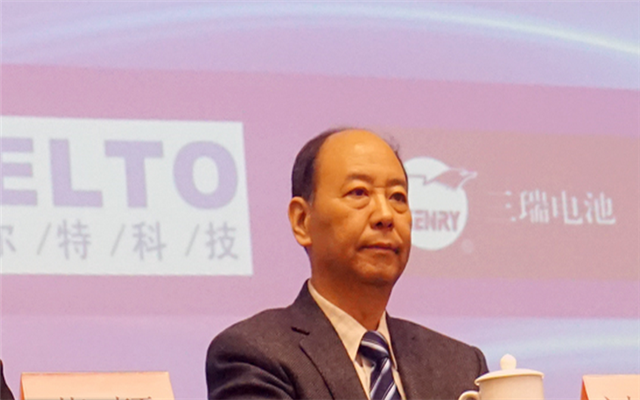 2015年中国国际铅酸蓄电池高峰论坛现场图片