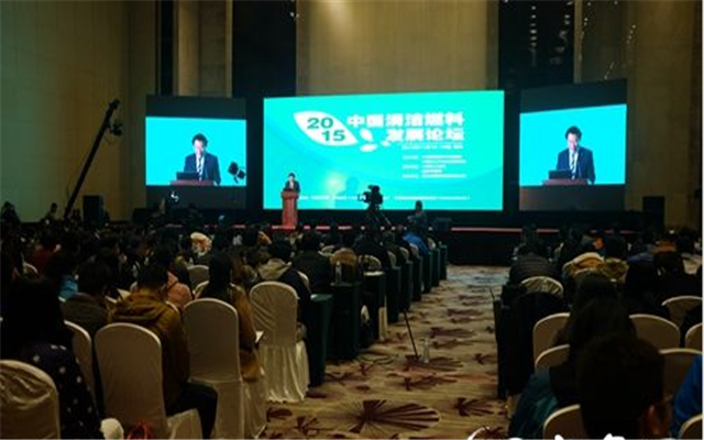 2015中国清洁燃料发展论坛现场图片