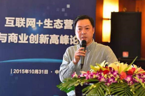 2015互联网+生态营销与商业创新峰会现场图片