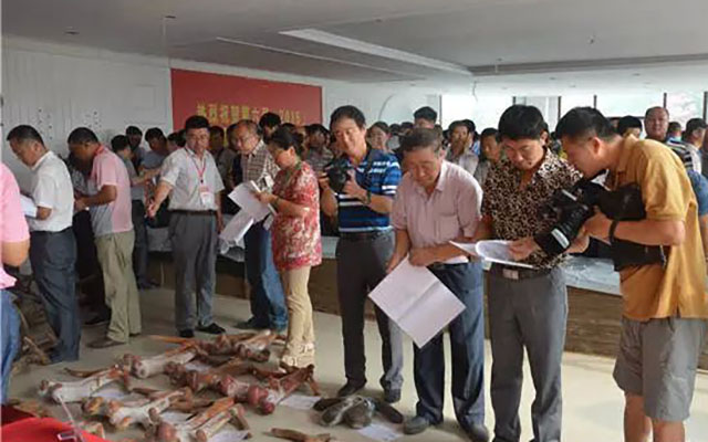 第六届(2015)中国鹿业发展大会暨中国(西丰)生命健康产业经贸洽谈会现场图片