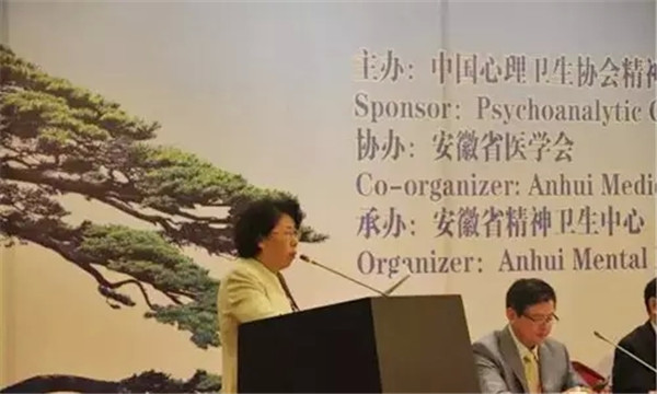 2015第四届中国精神分析大会现场图片