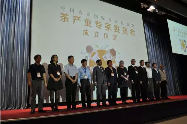 2015第二届茶业大会现场图片