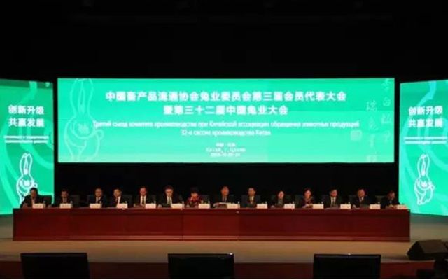 第三十二届中国兔业大会现场图片